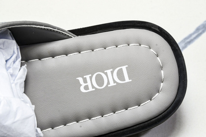 D1R* SLIDE copshoe DR-SLIDE 016