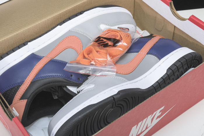 nike dunk low ekin dc7454-100