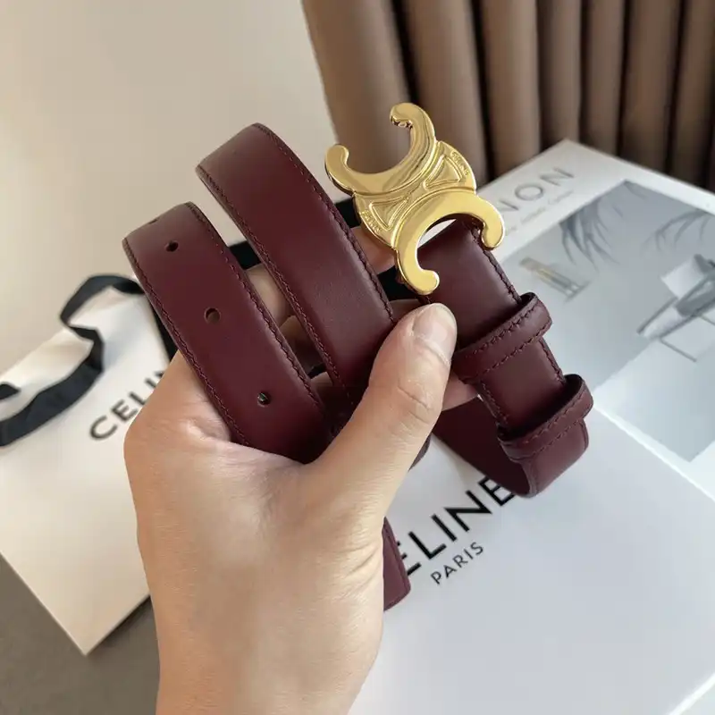 Ce1i*e belts 2210xf0024