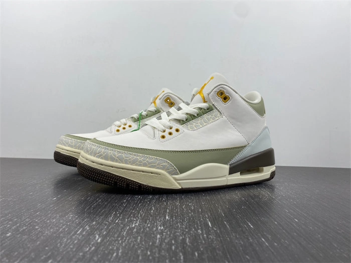 Air Jordan 3 DX6660- TravelReady 3816