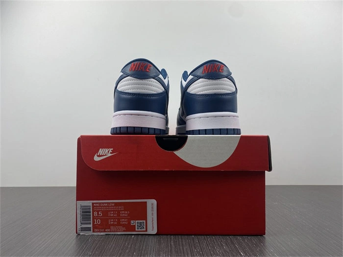 Nike Dunk Low Valerian Blue DD1391- Practical 4819